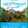 Organic Nicaragua Coffee Beans 2lb 1 Organic Nicaragua Coffee Beans 2lb -Coffee Related Shop NicaraguaLabel