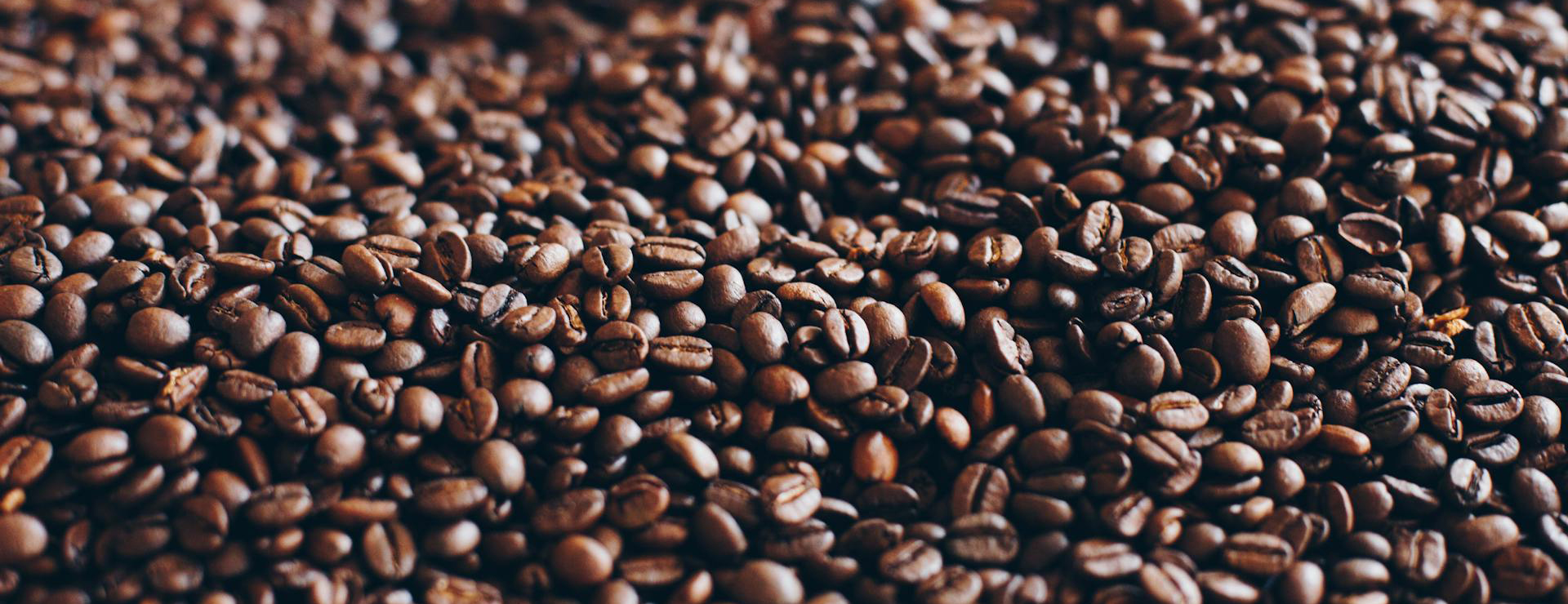 Coffee Related Shop 3 Coffee Related Shop -Coffee Related Shop pexels adam lukac 254247 773958